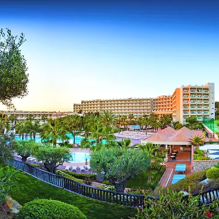 3hb Guarana アルブフェイラ